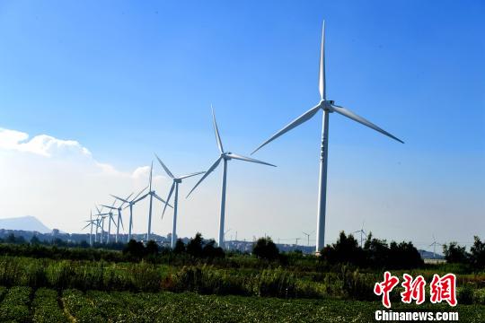 莆田沿海整齊的風力發(fā)電設備。　王東明 攝