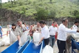觀音巖水電：魚(yú)類放流