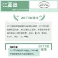 十大新能源車(chē)企2017年市場(chǎng)表現(xiàn)及2018年規(guī)劃