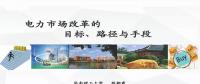 電力市場改革的目標、路徑與手段