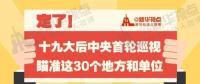 定了！華電集團(tuán)、中核集團(tuán)將接受十九屆中央第一輪巡視