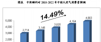 未來5年年中國(guó)天然氣行業(yè)供需前景預(yù)測(cè)分析