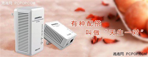 電力貓的版本眾多，從電力線傳輸技術(shù)上就可以分為HomePlug和G.hn，采用相同電力線通信技術(shù)的電力貓還可以分為有線電力貓和無(wú)線電力貓，而在無(wú)線電力貓中還有無(wú)線AP和無(wú)線路由的區(qū)別。外觀功能上的區(qū)別就更大了，以ZINWELL為例，就先后推出了單口有線電力貓，帶電源延長(zhǎng)線的電力貓，多口有線電力貓，電力貓無(wú)線路由器，無(wú)線AP電力貓，帶電源插座的電力貓等。