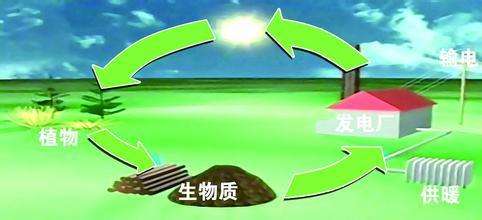 生物質(zhì)是替代核電、火電 彌補(bǔ)天然氣缺口的一種重要新能源