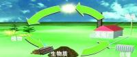 生物質(zhì)是替代核電、火電 彌補天然氣缺口的一種重要新能源