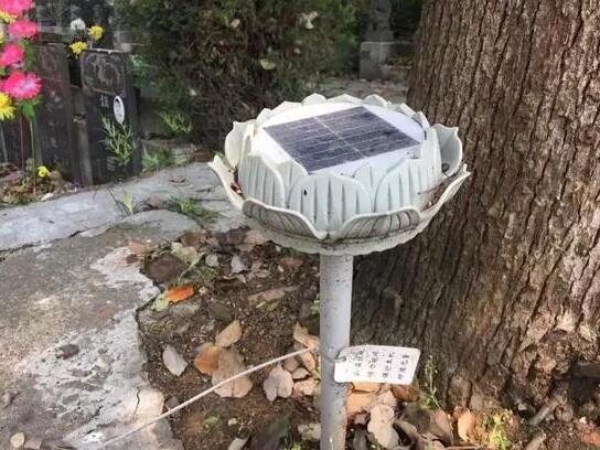 墓地傳來哭聲 周圍卻沒有人影 清明節(jié)你被光伏嚇著了嗎？