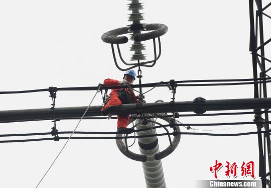 圖為電力工人在70多米高空作業(yè)，為特高壓復(fù)奉線重慶段進(jìn)行八年來首次大修。　周毅 攝