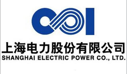 上海電力首個歐洲風(fēng)電項(xiàng)目圓滿完成第一臺風(fēng)機(jī)吊裝