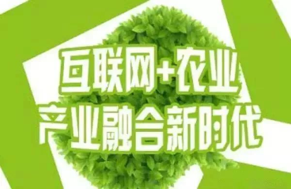 互聯(lián)網(wǎng)+農(nóng)業(yè)，6大創(chuàng)業(yè)方向是…