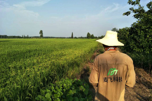 “AI+遙感”覬覦萬(wàn)億級(jí)智慧農(nóng)業(yè)市場(chǎng)，這次沒(méi)有中間商賺差價(jià) 