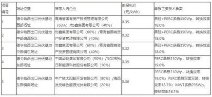 18家企業(yè)10個光伏應用領跑基地中標情況