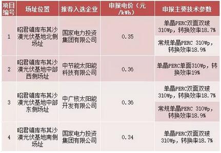 18家企業(yè)10個光伏應用領跑基地中標情況