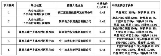 18家企業(yè)10個光伏應用領跑基地中標情況