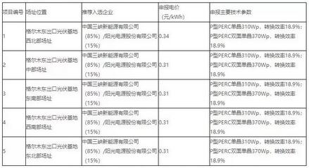 18家企業(yè)10個光伏應用領跑基地中標情況