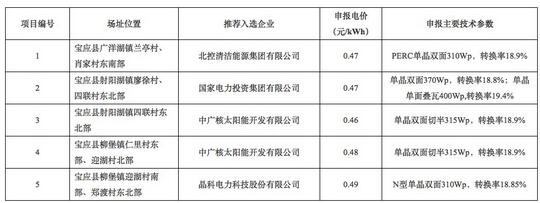 18家企業(yè)10個光伏應用領跑基地中標情況