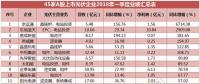 一季度45家光伏企業(yè)業(yè)績榜單登場：超八成飄紅，兩級分化現(xiàn)象嚴重