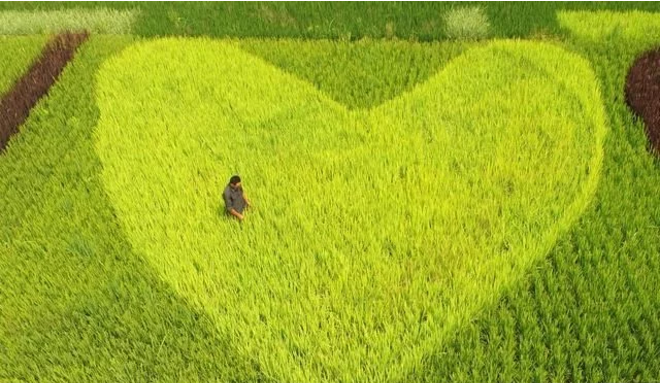 互聯(lián)網(wǎng)給農(nóng)民農(nóng)業(yè)帶來了什么？本文告訴你！