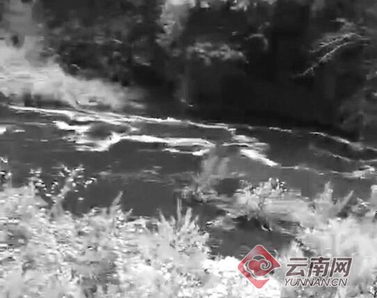 云南麗江部分水體變黑臭并有牲畜尸體，環(huán)保局：水閘放水引起