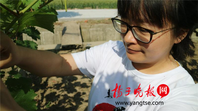 一個(gè)“80”后研究生的“綠色農(nóng)業(yè)夢(mèng)”：用“互聯(lián)網(wǎng)+”思維做農(nóng)業(yè)，新型職業(yè)農(nóng)民“潮”起來