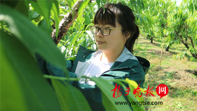 一個(gè)“80”后研究生的“綠色農(nóng)業(yè)夢(mèng)”：用“互聯(lián)網(wǎng)+”思維做農(nóng)業(yè)，新型職業(yè)農(nóng)民“潮”起來