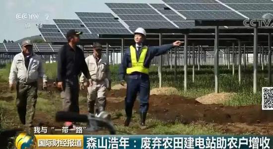 中國央企用光伏帶日本農民致富！10倍租金盤活荒廢農地