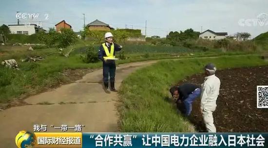 中國央企用光伏帶日本農民致富！10倍租金盤活荒廢農地