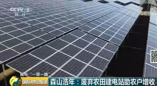中國央企用光伏帶日本農民致富！10倍租金盤活荒廢農地
