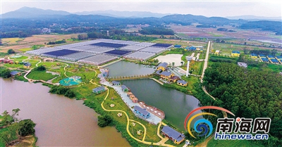 海南農業(yè)走出現代范兒 “互聯網+”加出新成果