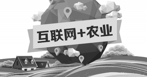 A5創(chuàng)業(yè)項目推薦：互聯(lián)網(wǎng)+農(nóng)業(yè)能碰撞出怎樣的新發(fā)展？