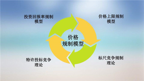 我國電力價格規(guī)制現(xiàn)狀、存在的問題及原因分析