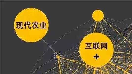 顛覆！裂變！賦能！互聯(lián)網(wǎng)+農(nóng)業(yè)領(lǐng)域的“豬飛起來了”