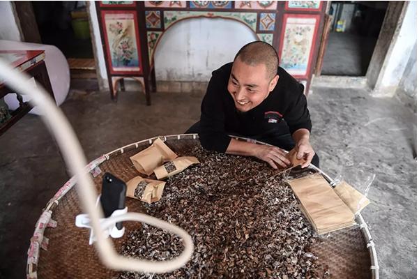 顛覆！裂變！賦能！互聯網+農業(yè)領域的“豬飛起來了”