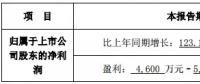 隆基、晶科齊發(fā)聲 “531”利大于弊？