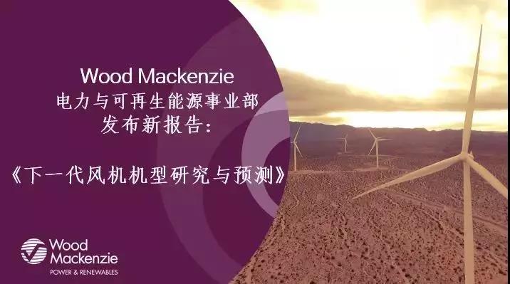 12-15MW+！歐洲“零補(bǔ)貼”海上風(fēng)場項目開發(fā)主要選型