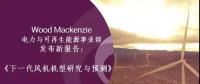 12-15MW+！歐洲“零補(bǔ)貼”海上風(fēng)場(chǎng)項(xiàng)目開發(fā)主要選型