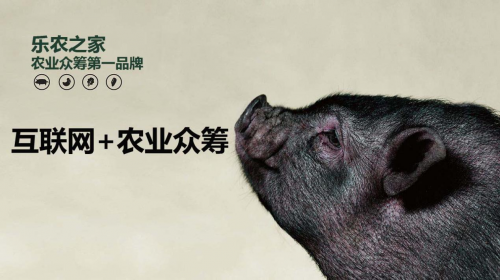 互聯(lián)網(wǎng)+農(nóng)業(yè)眾籌只賺吆喝 利潤(rùn)全被用戶拿走了？