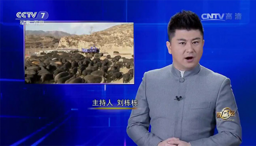 互聯(lián)網(wǎng)+農(nóng)業(yè)眾籌只賺吆喝 利潤(rùn)全被用戶拿走了？