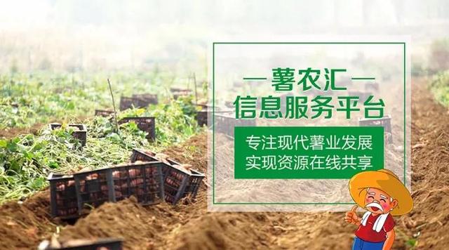 “互聯(lián)網(wǎng)+農(nóng)業(yè)”，創(chuàng)造農(nóng)村發(fā)展新活力