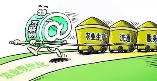 2018年農(nóng)村電商巨頭卡位戰(zhàn)：互聯(lián)網(wǎng)+農(nóng)業(yè)新玩法！