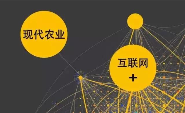如何用“互聯(lián)網(wǎng)+”重塑農(nóng)業(yè)競(jìng)爭(zhēng)優(yōu)勢(shì)？