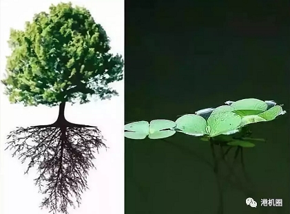 插樁式、坐底式 詳解海上風電安裝平臺的作業(yè)方式