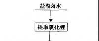 碳酸鋰“價(jià)格失火” 是否會 “殃及”金屬鋰？