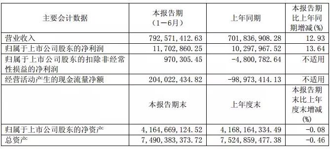 華儀電氣：上半年風(fēng)電營收3.57億元 完成6MW海上風(fēng)機(jī)概念設(shè)計(jì)、簽訂32萬千瓦風(fēng)電場(chǎng)開發(fā)協(xié)議！