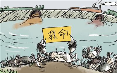 上游污水“毒死”萬畝大閘蟹，誰擔(dān)其責(zé)？