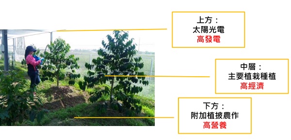 后補(bǔ)貼時(shí)代 “架高、一地多用”助力光伏平價(jià)上網(wǎng)