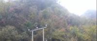 湖北整治關(guān)停100多座小水電站 , 其中宜昌48座、神農(nóng)架林區(qū)21座、恩施20座