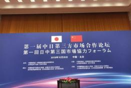 安倍晉三訪華 協(xié)鑫、天合和晶科為光伏行業(yè)長臉了！