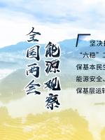 讀圖｜2020政府工作報(bào)告中這些內(nèi)容，和能源電力有關(guān)！