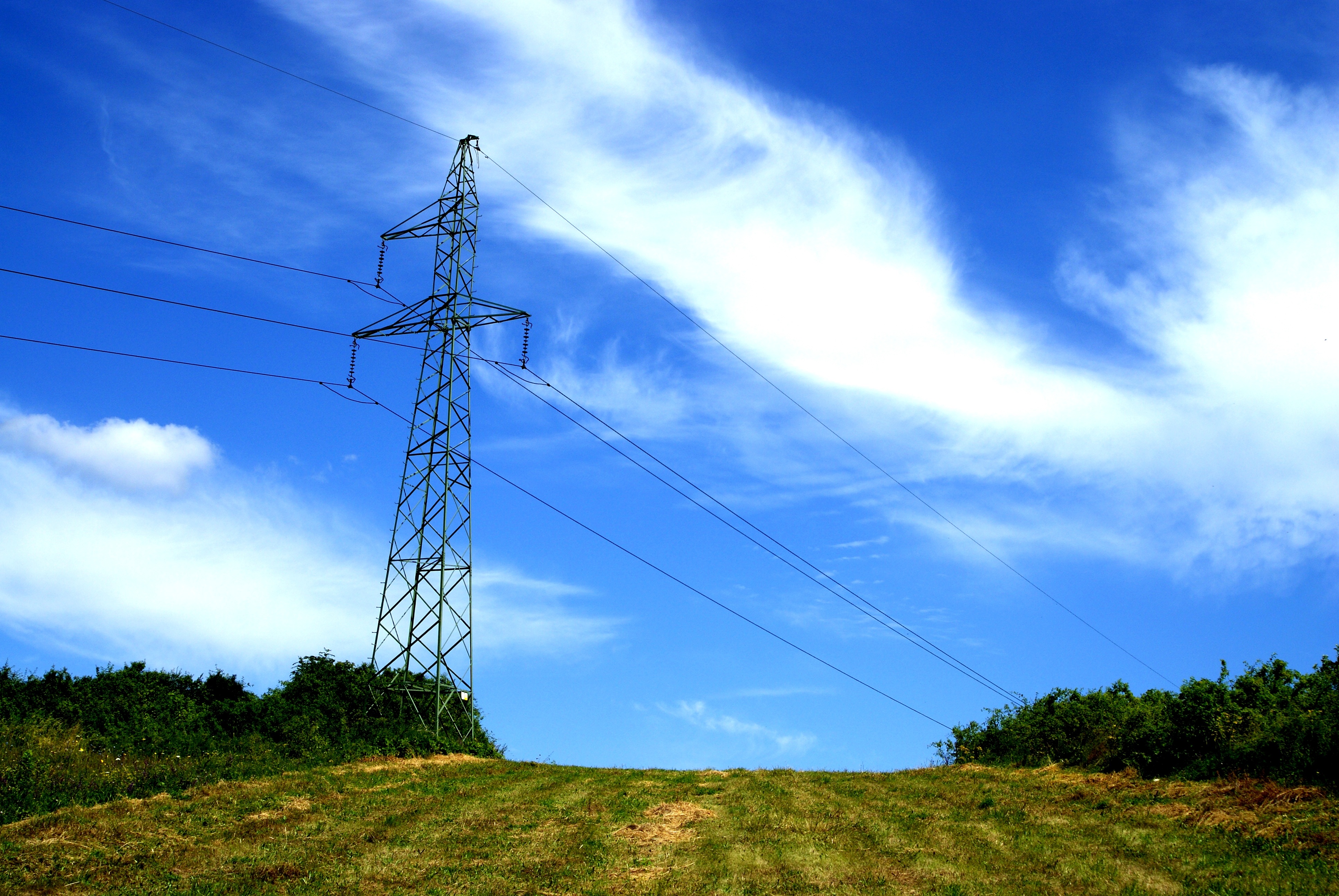 “疫情+降電價”沖擊兩大電網上半年業(yè)績