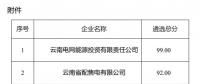 2025年云南電力市場保底售電公司候選名單公示！
